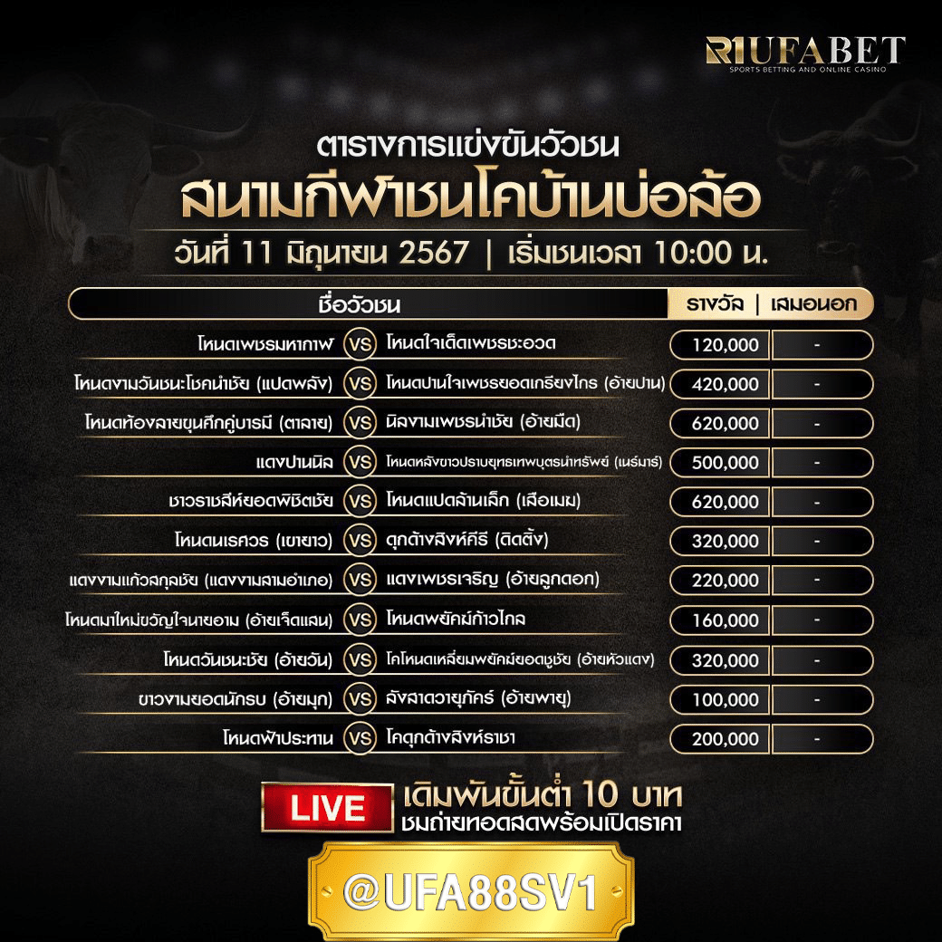 โปรแกรมวัวชน วันที่ 11 มิ.ย. 67