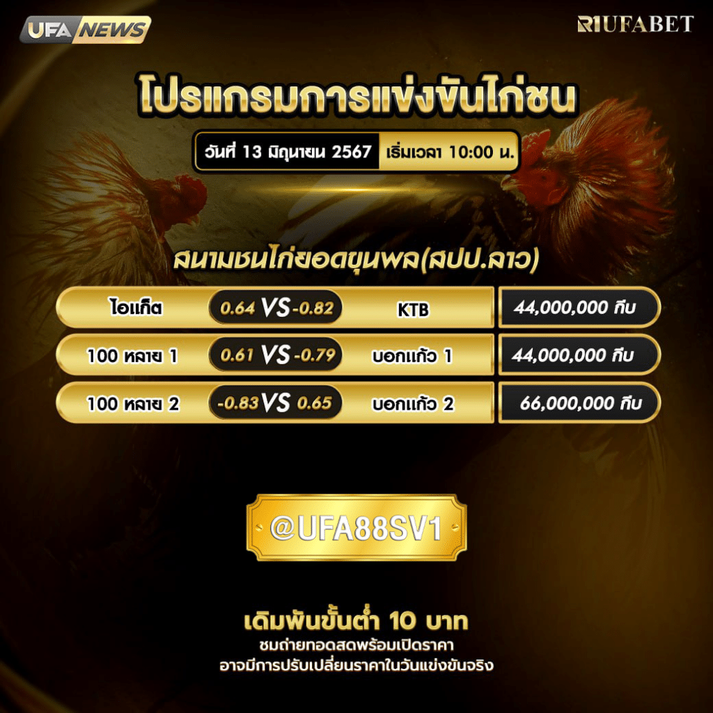 การแข่งขันไก่ชน 13 มิ.ย. 67