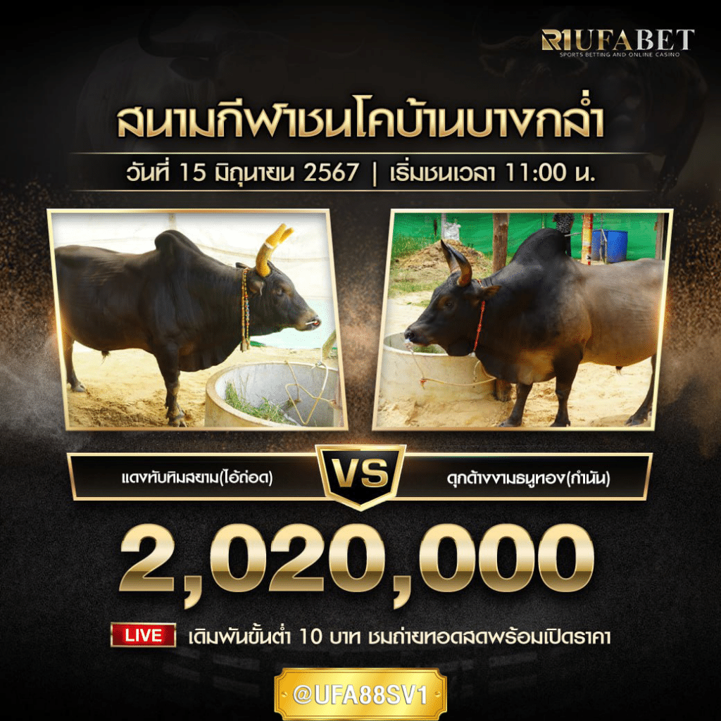 โปรแกรมวัวชน วันที่ 15 มิ.ย. 67