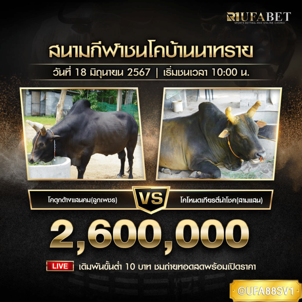 โปรแกรมวัวชน 18 มิ.ย. 67