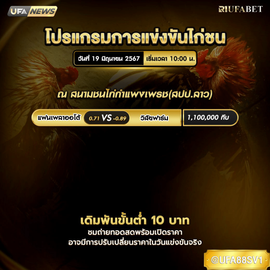 การแข่งขันไก่ชน 19 มิ.ย. 67