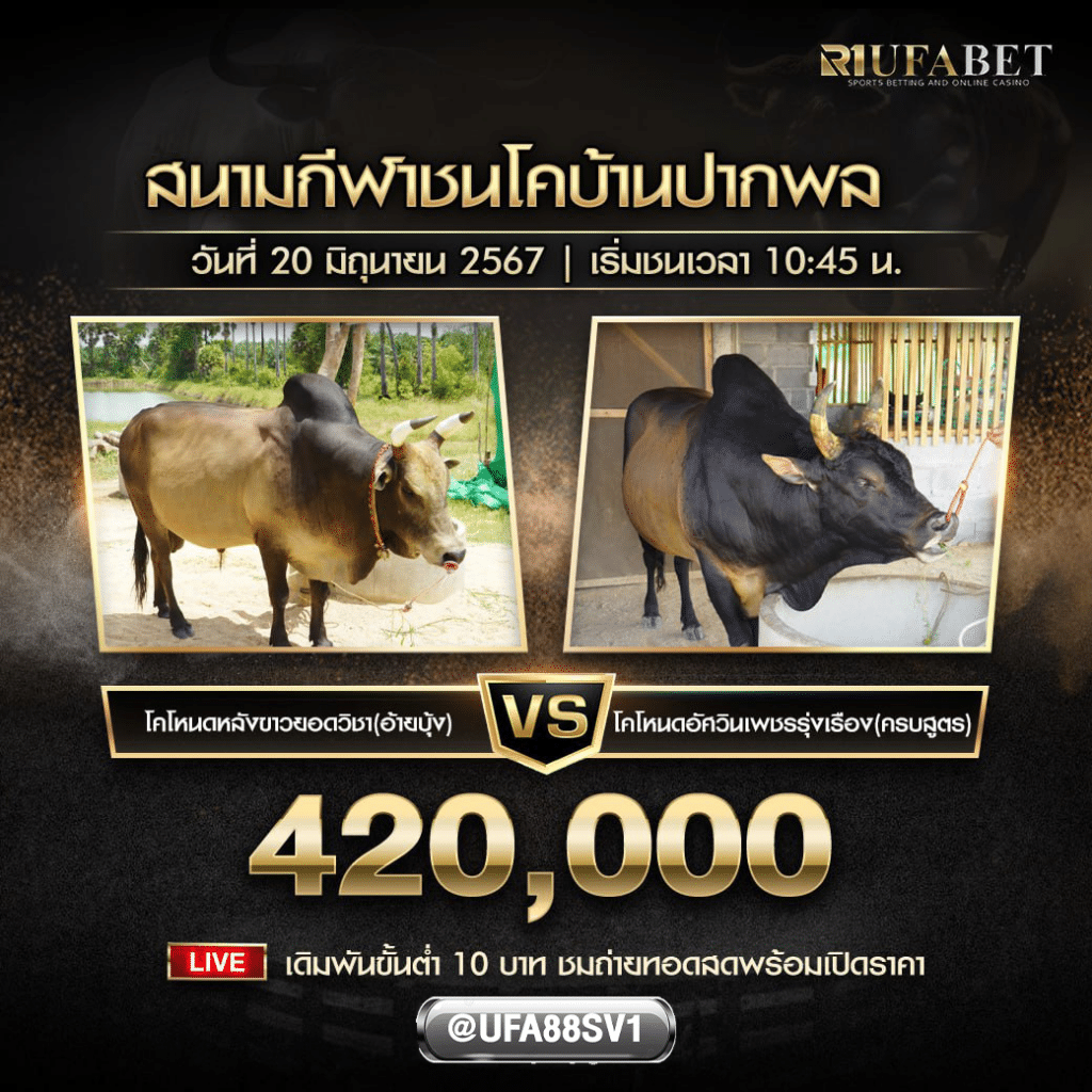 โปรแกรมวัวชน 20 มิ.ย. 67