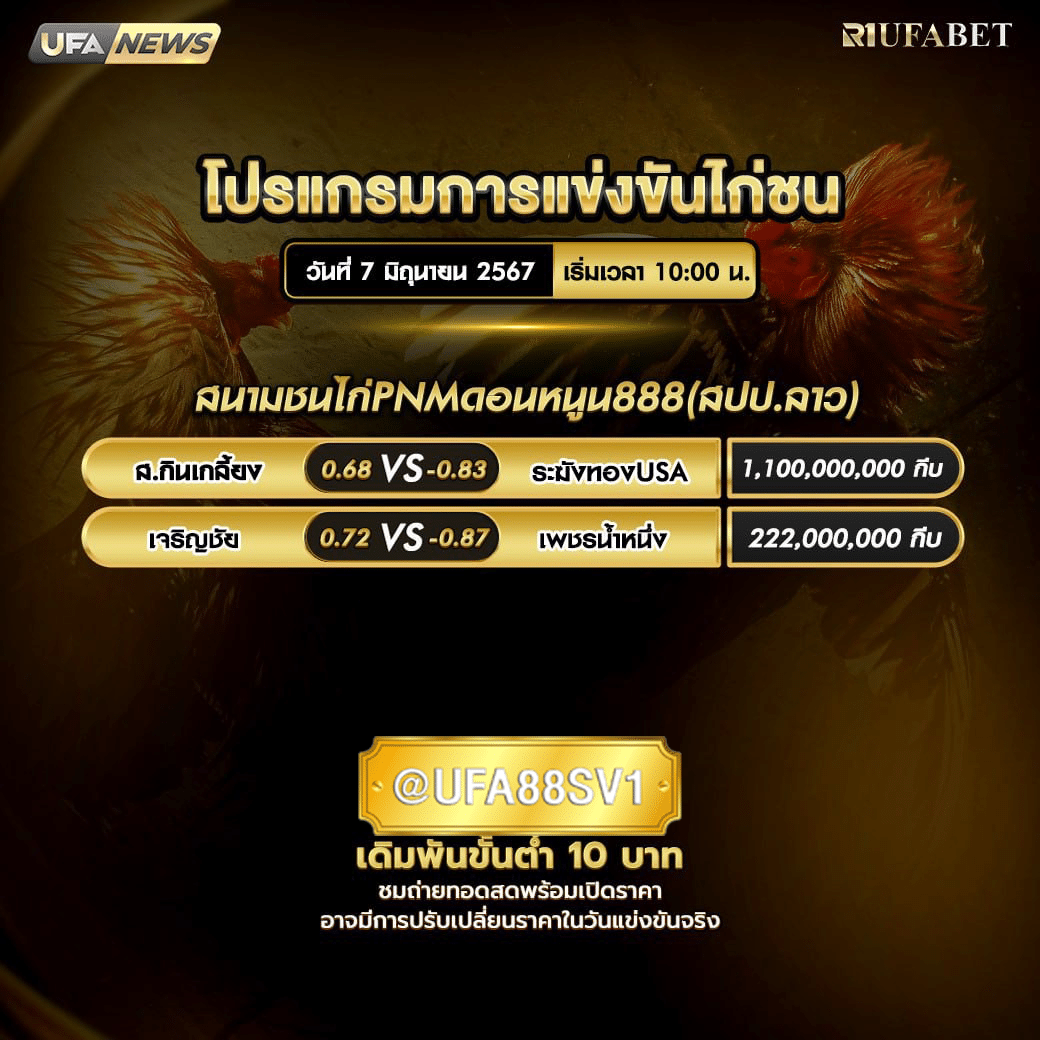 การแข่งขันไก่ชน 7 มิ.ย. 67