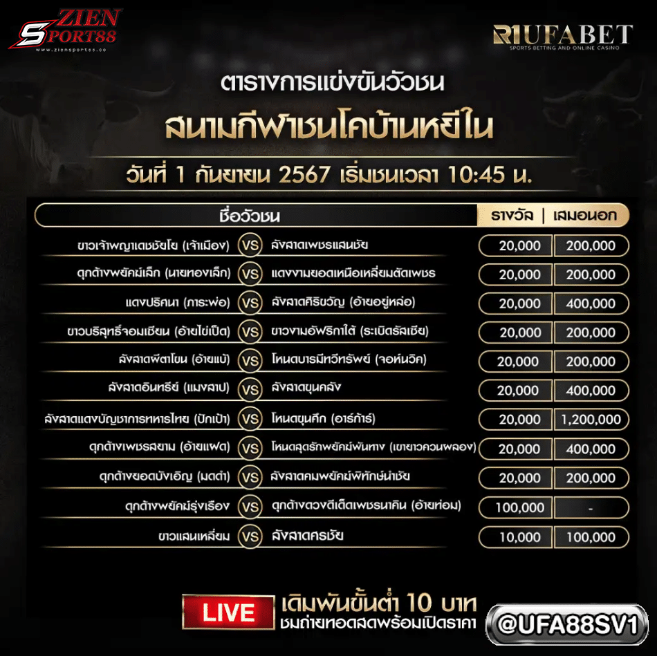 โปรแกรมวัวชน 31 ส.ค. 67